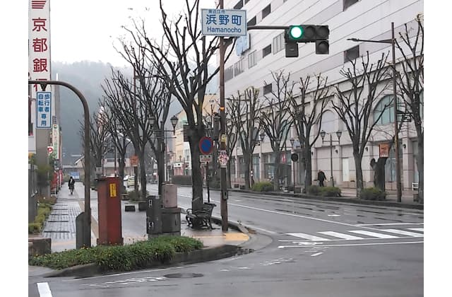 ムクドリ駆除に効果あり 八日市駅前の騒音・フン害