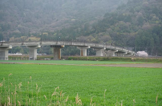 橋梁点検 データをセンサーで遠隔収集