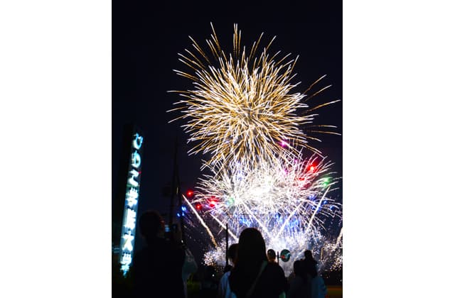 晩秋を彩る打ち上げ花火 笑顔いっぱい紅葉賀祭