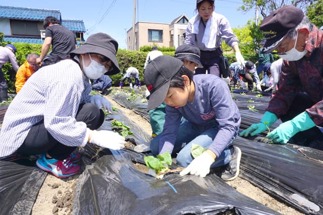 地域の親子11組が参加 収穫まで待ち遠しい