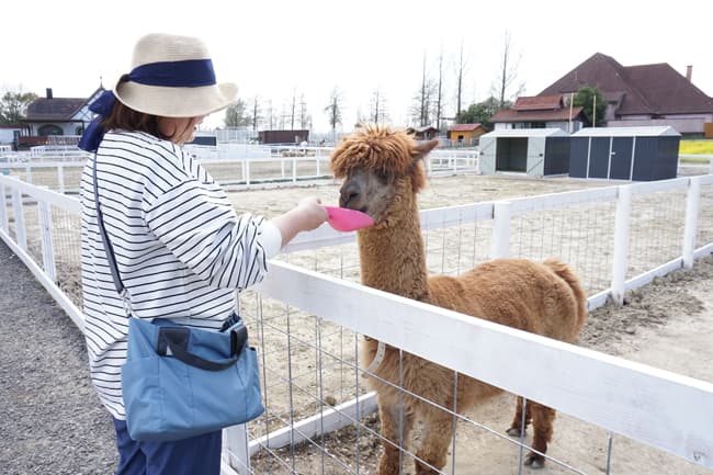 滋賀農業公園ブルーメの丘で