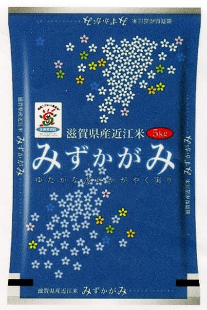 近江米「みずかがみ」