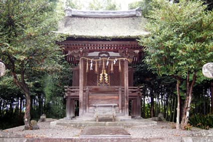 志那神社本殿の屋根檜皮葺
