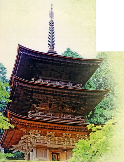 伝統建造物の修理現場一般公開