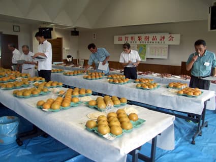 東近江地域が上位占める 平成24年度滋賀県果樹品評会