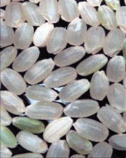 県が地球温暖化に対応した