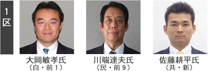 アベノミクス解散総選挙 (上)