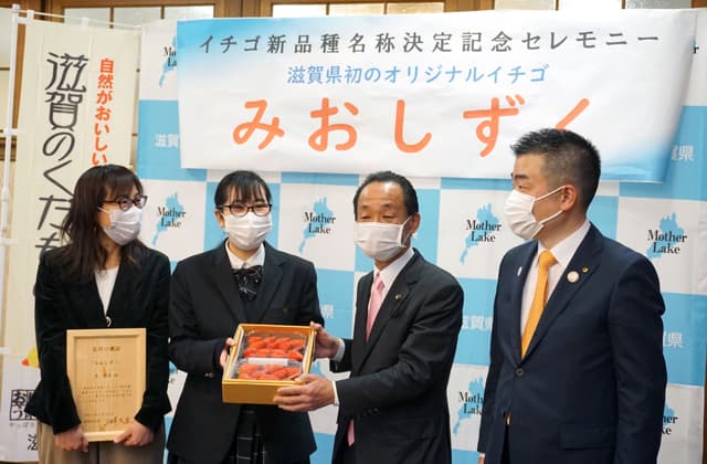 県新品種イチゴ名称「みおしずく」に決定