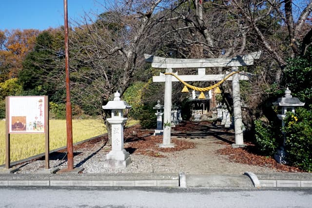 大河ドラマ放映直前