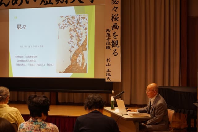 織田瑟々の桜画を観る