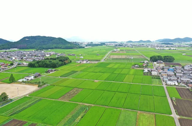 近畿最大の耕地面積を生かし持続可能な農業へ