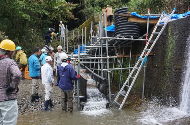 ビワマスの上る愛知川へ