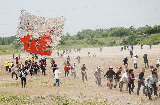 東近江大凧保存会 100畳敷大凧が復活か