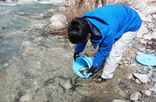 奥永源寺漁協、渓流釣り解禁前に