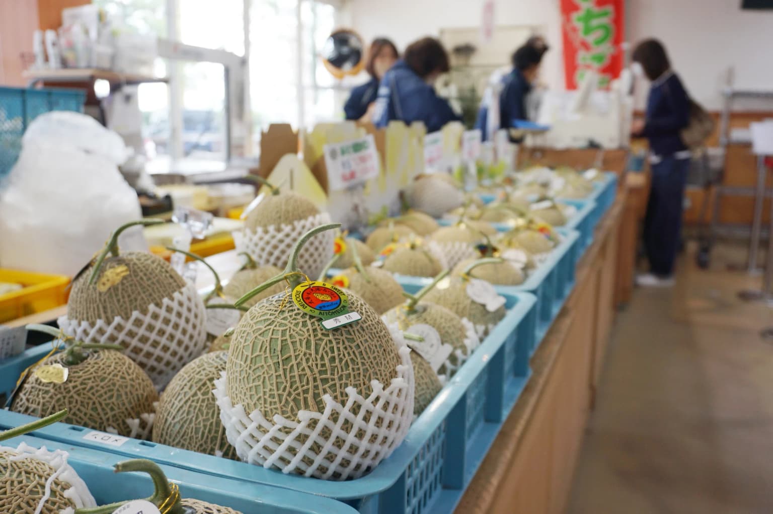 あいとうメロン、販売開始